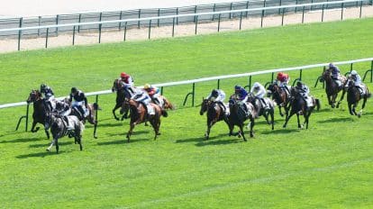 Lucky 15 tips for today’s racing 04/11/2025