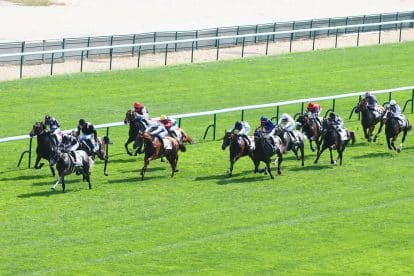 Lucky 15 tips for today’s racing 04/11/2025