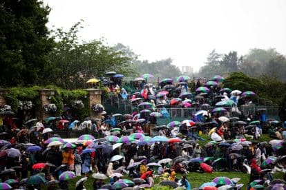 Wimbledon queue: Insider tips on best time to arrive today