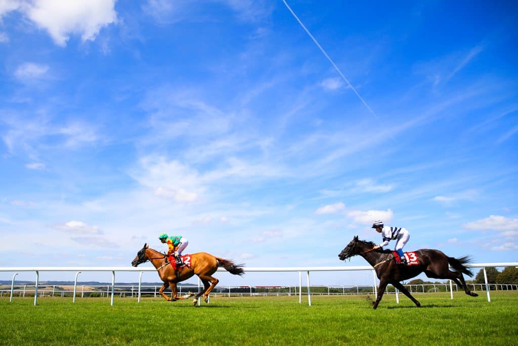 Coral Stewards' Cup 2023 Betting Tips and Predictions 1 Goodwood Betting Tips