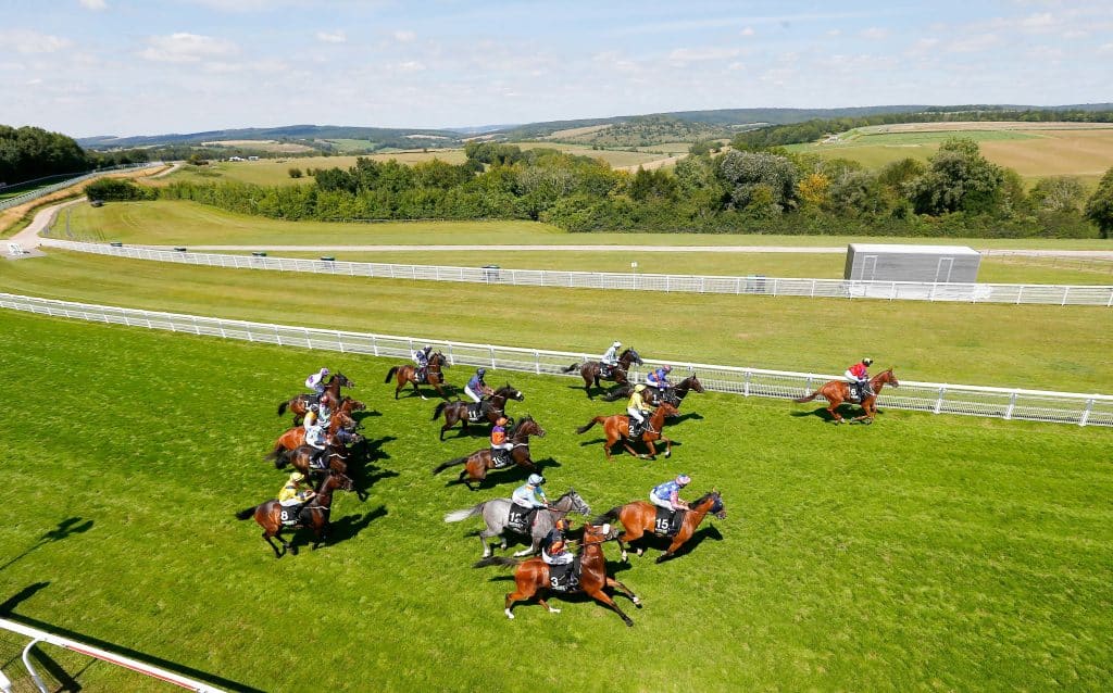 Goodwood Predictions