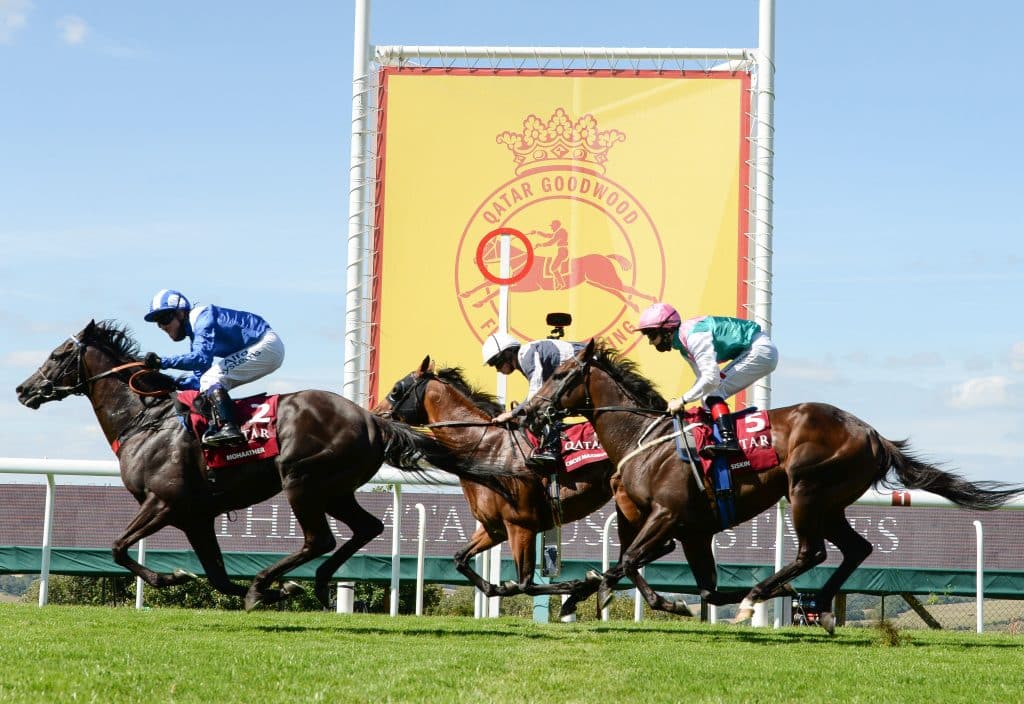 Coral Handicap 2023 Betting Tips and Predictions 1 Coral Handicap Tips