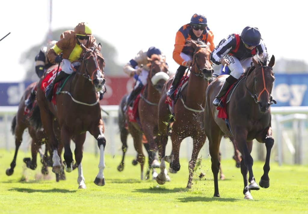 York Ebor Festival day 2 tips: Don't discount Dapperling 1 York Ebor Festival Tips