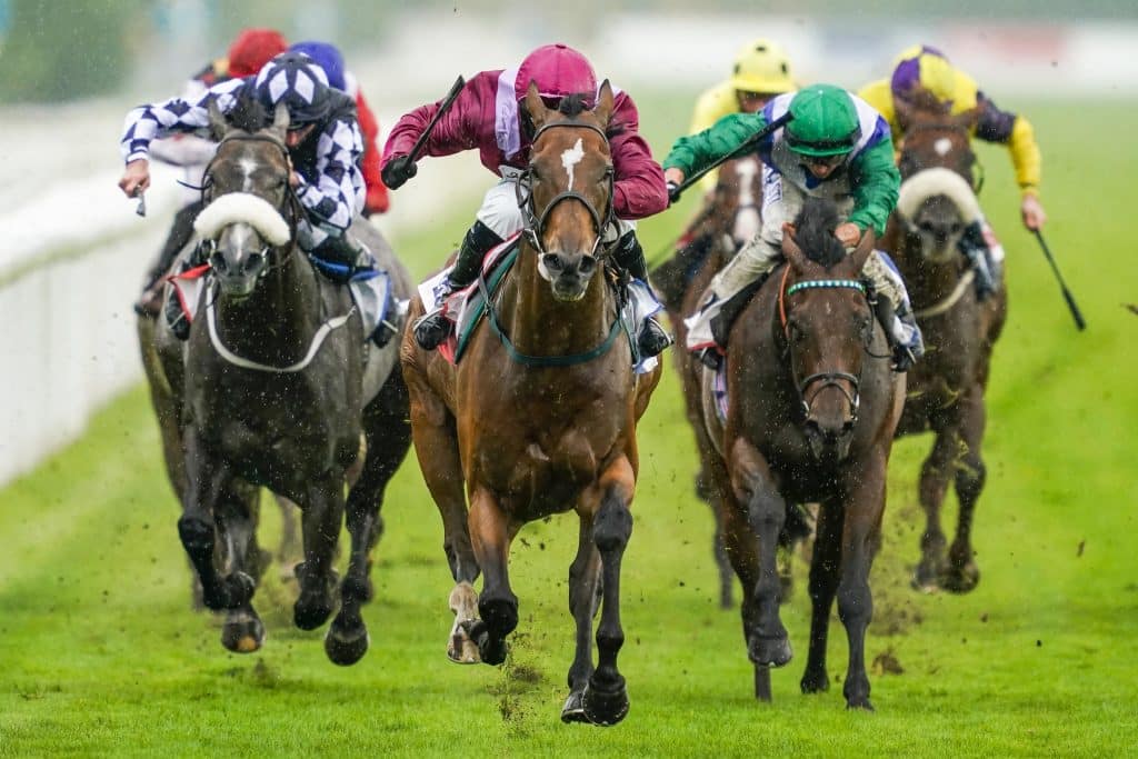 York Ebor Festival 2023 schedule and race times 1 York Ebor