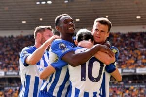 Icon SPI 033 GO Wolves Brighton