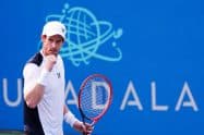 Taylor Fritz vs Andy Murray Prediction and Odds: Citi Open 2023