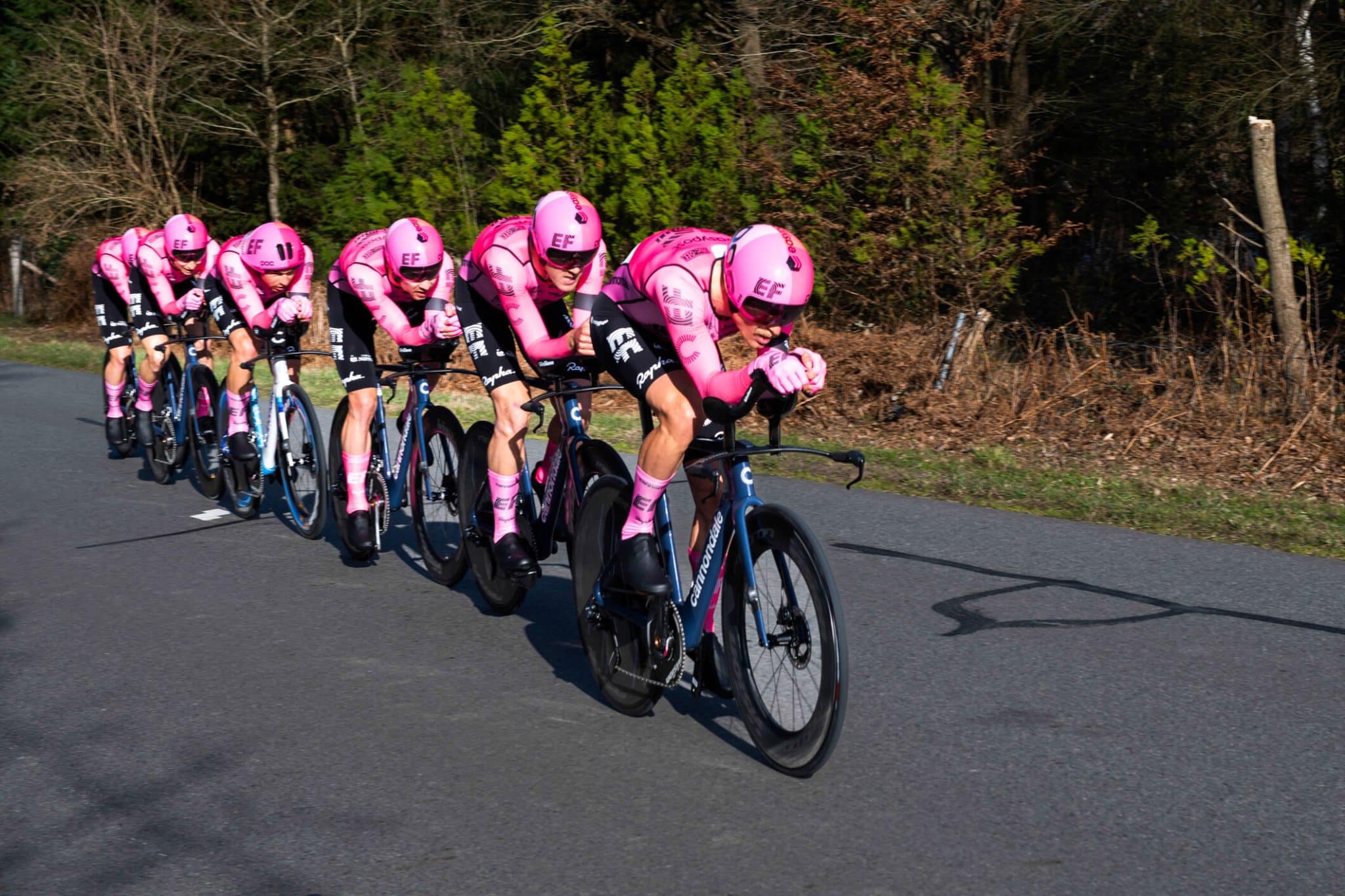 rsz la vue st 1 scaled