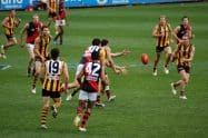 AFL scores and standings: Australian Football League ladder