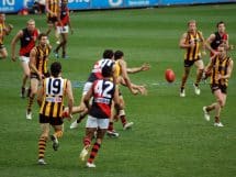 AFL scores and standings: Australian Football League ladder