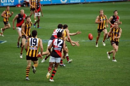 AFL scores and standings: Australian Football League ladder