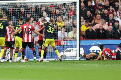 Sheffield United vs Newcastle player ratings: Merciless Geordies blast eight past the Blades
