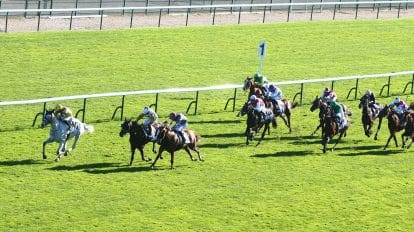 Sprint Cup Haydock day 2 tips – Alseeyerthere can see winner’s enclosure