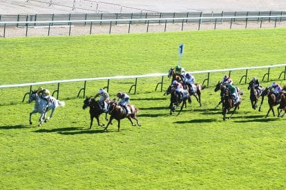 Sprint Cup Haydock day 2 tips &ndash; Alseeyerthere can see winner&rsquo;s enclosure