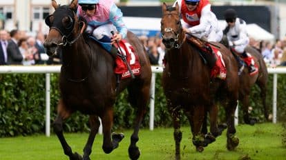 Hippo Clean Edge Masking Tape Confined Nursery betting tips and predictions