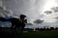 Best St Leger Festival 2023 betting tips and predictions
