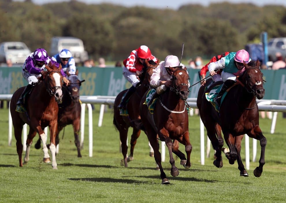 St Leger Festival schedule and race times 2023