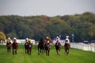 St Leger Festival day 4 tips &ndash; Culcor can do it at this level