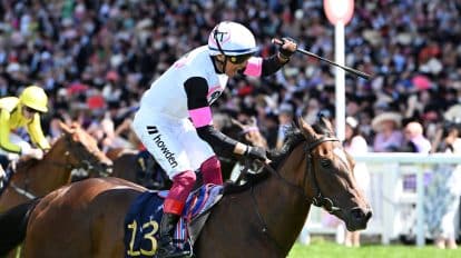 Sprint Cup Haydock 2023 Prize: How Much Will the Winner Get?