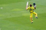 Australia vs Netherlands cricket: Warner, Maxwell help Australia seal biggest World Cup win