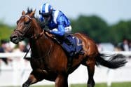 Qipco Champion Stakes &ndash; complete field, odds, and top betting tips