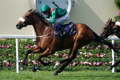 Queen Elizabeth II Stakes – complete field, odds, and top betting tips
