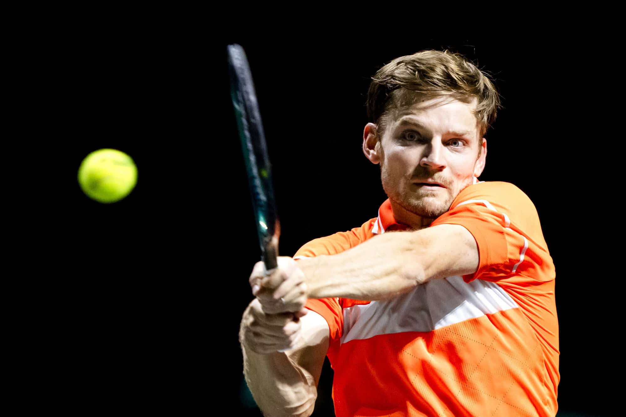 David Goffin
