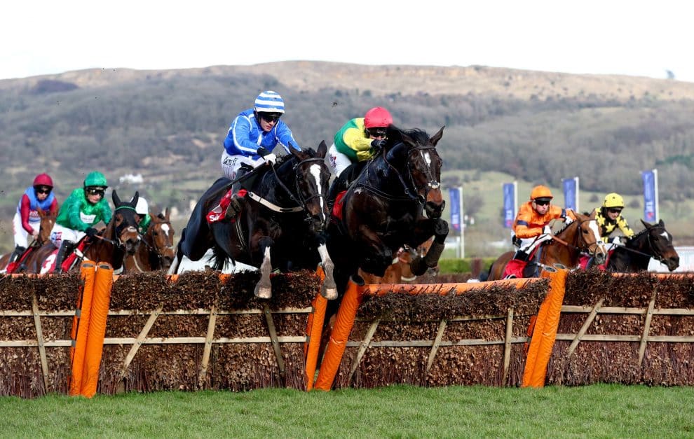 Stayers Hurdle History Past Winners and Trends Listed Pundit Feed