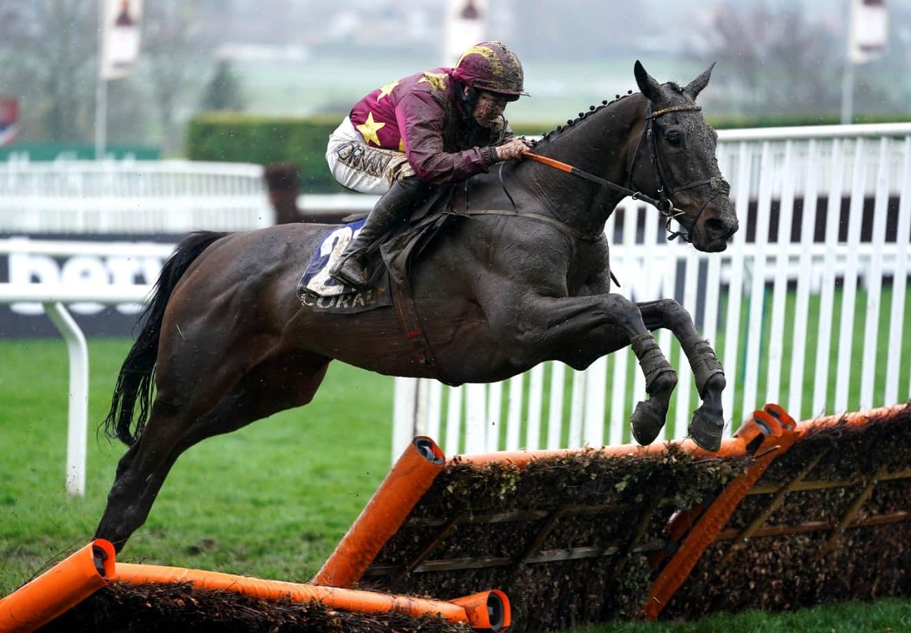 Cheltenham Gold Cup History All Past Winners and Trends Listed