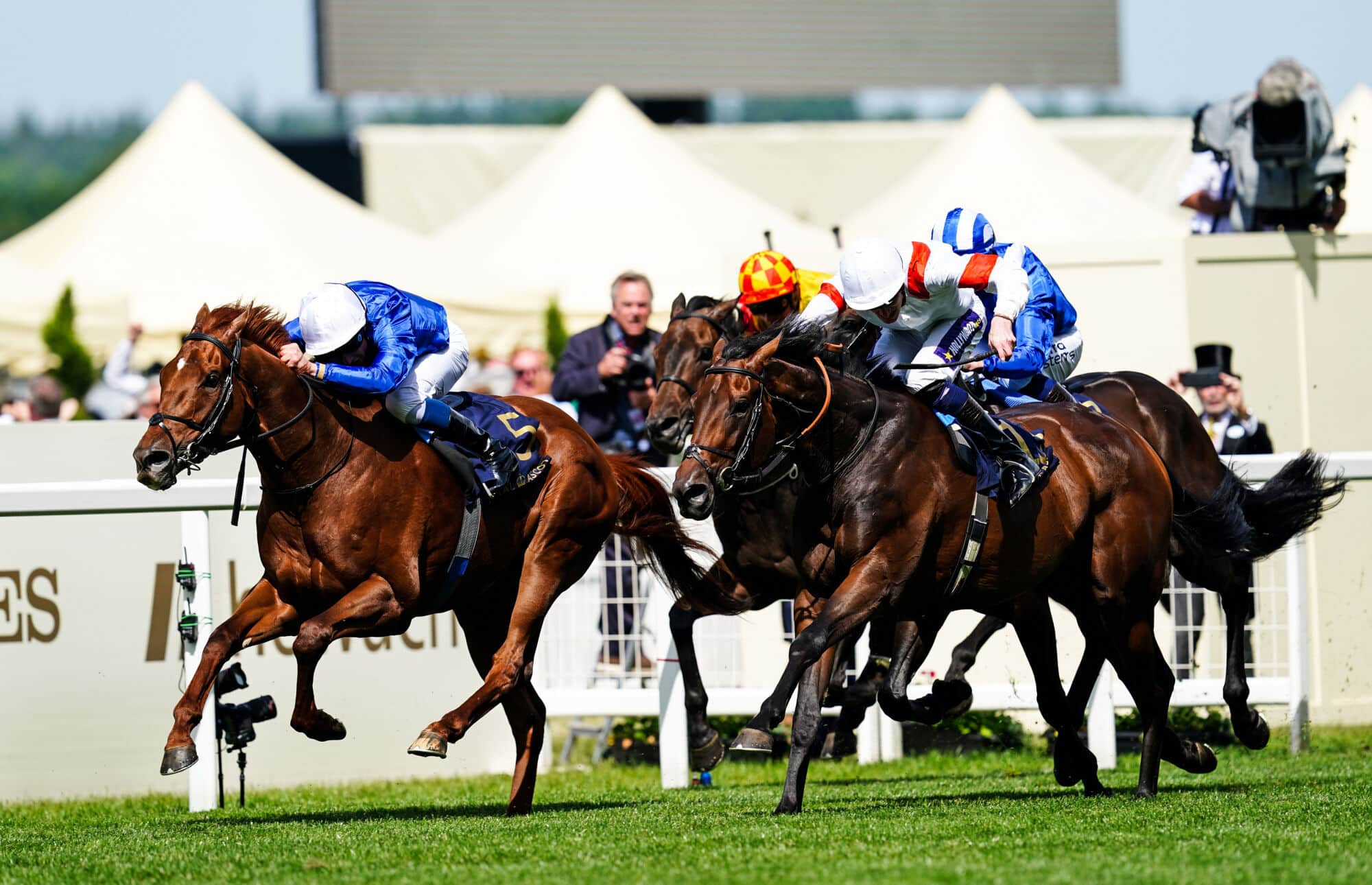 How to Get into the Royal Enclosure at Ascot Racecourse - Pundit Feed